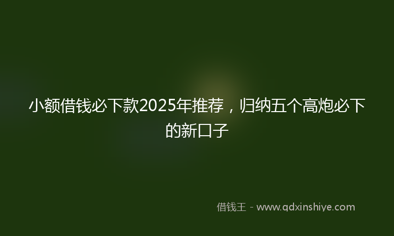 小额借钱必下款2025年推荐，归纳五个高炮必下的新口子