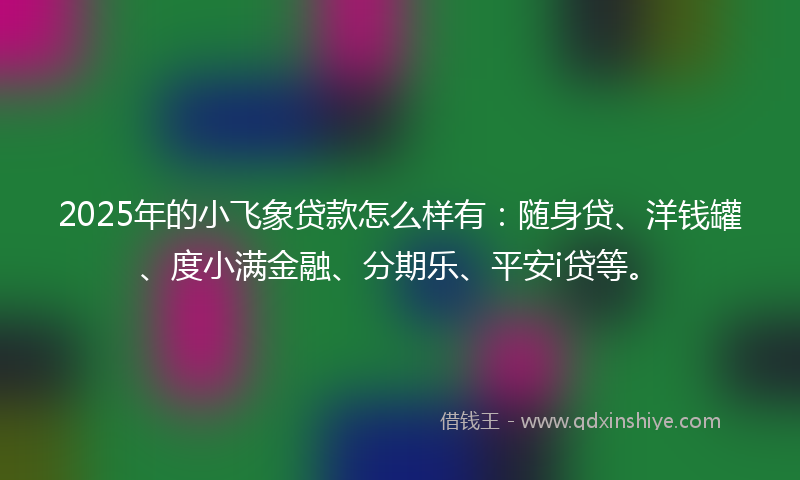 2025年的小飞象贷款怎么样有：随身贷、洋钱罐、度小满金融、分期乐、平安i贷等。