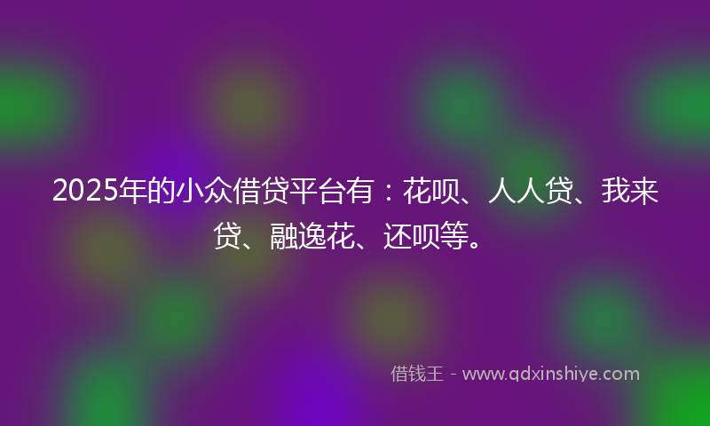 2025年的小众借贷平台有：花呗、人人贷、我来贷、融逸花、还呗等。