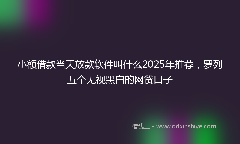 小额借款当天放款软件叫什么2025年推荐，罗列五个无视黑白的网贷口子