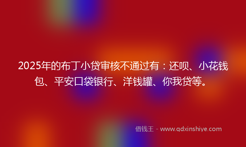 2025年的布丁小贷审核不通过有：还呗、小花钱包、平安口袋银行、洋钱罐、你我贷等。
