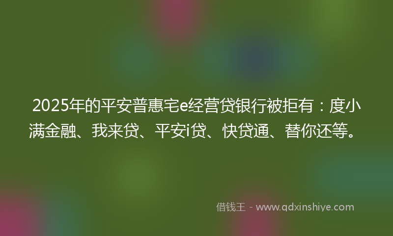 2025年的平安普惠宅e经营贷银行被拒有：度小满金融、我来贷、平安i贷、快贷通、替你还等。