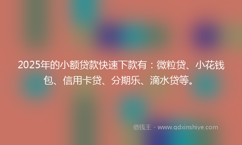 2025年的小额贷款快速下款有：微粒贷、小花钱包、信用卡贷、分期乐、滴水贷等。