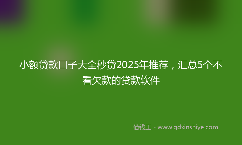 小额贷款口子大全秒贷2025年推荐，汇总5个不看欠款的贷款软件