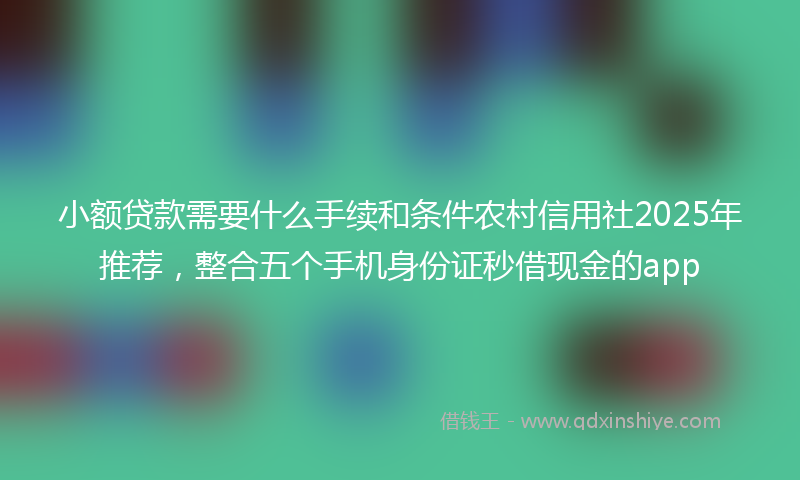 小额贷款需要什么手续和条件农村信用社2025年推荐，整合五个手机身份证秒借现金的app