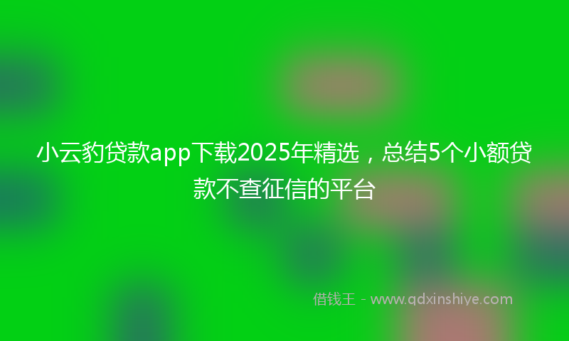 小云豹贷款app下载2025年精选，总结5个小额贷款不查征信的平台