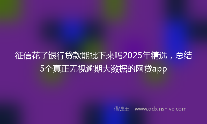 征信花了银行贷款能批下来吗2025年精选，总结5个真正无视逾期大数据的网贷app