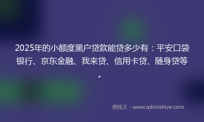 2025年的小额度黑户贷款能贷多少有：平安口袋银行、京东金融、我来贷、信用卡贷、随身贷等。