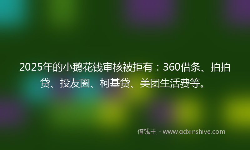 2025年的小鹅花钱审核被拒有：360借条、拍拍贷、投友圈、柯基贷、美团生活费等。