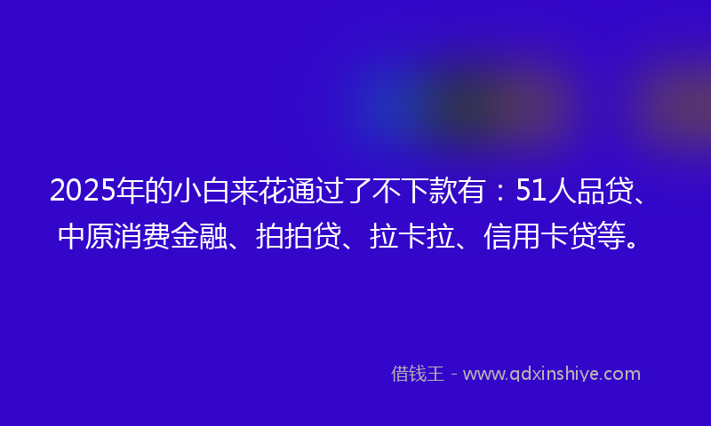 2025年的小白来花通过了不下款有：51人品贷、中原消费金融、拍拍贷、拉卡拉、信用卡贷等。