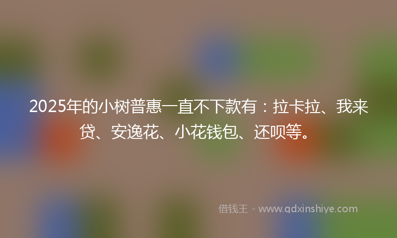 2025年的小树普惠一直不下款有：拉卡拉、我来贷、安逸花、小花钱包、还呗等。