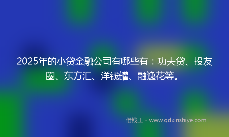 2025年的小贷金融公司有哪些有：功夫贷、投友圈、东方汇、洋钱罐、融逸花等。