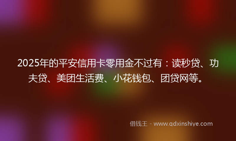 2025年的平安信用卡零用金不过有：读秒贷、功夫贷、美团生活费、小花钱包、团贷网等。
