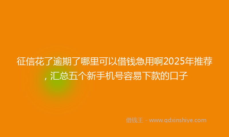 征信花了逾期了哪里可以借钱急用啊2025年推荐，汇总五个新手机号容易下款的口子