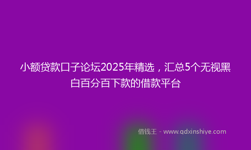 小额贷款口子论坛2025年精选，汇总5个无视黑白百分百下款的借款平台