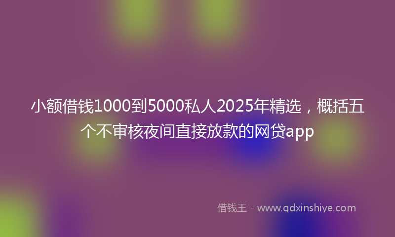 小额借钱1000到5000私人2025年精选，概括五个不审核夜间直接放款的网贷app