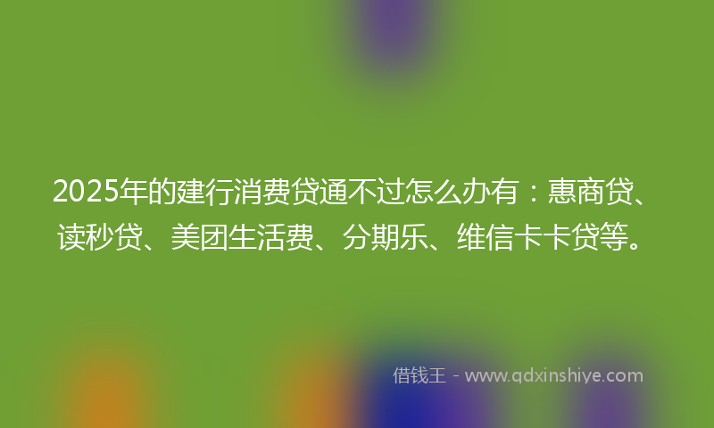 2025年的建行消费贷通不过怎么办有：惠商贷、读秒贷、美团生活费、分期乐、维信卡卡贷等。