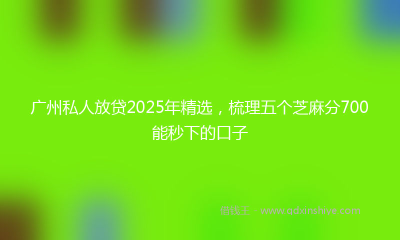 广州私人放贷2025年精选，梳理五个芝麻分700能秒下的口子
