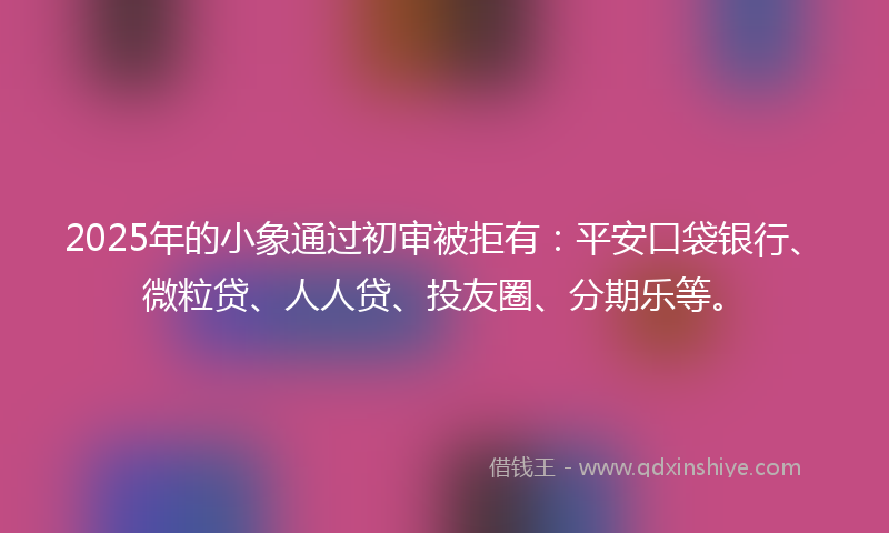 2025年的小象通过初审被拒有：平安口袋银行、微粒贷、人人贷、投友圈、分期乐等。