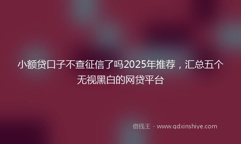 小额贷口子不查征信了吗2025年推荐，汇总五个无视黑白的网贷平台
