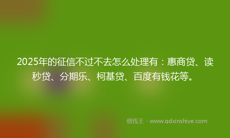2025年的征信不过不去怎么处理有：惠商贷、读秒贷、分期乐、柯基贷、百度有钱花等。