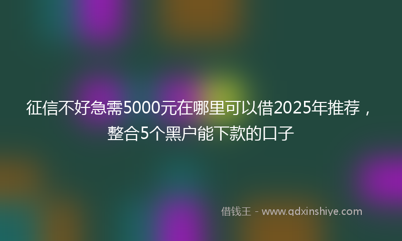 征信不好急需5000元在哪里可以借2025年推荐，整合5个黑户能下款的口子