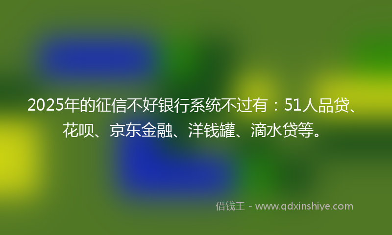 2025年的征信不好银行系统不过有：51人品贷、花呗、京东金融、洋钱罐、滴水贷等。