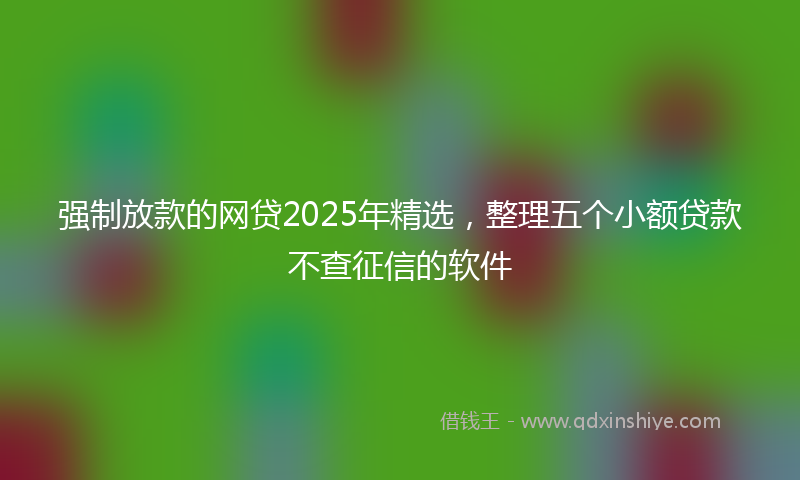 强制放款的网贷2025年精选，整理五个小额贷款不查征信的软件