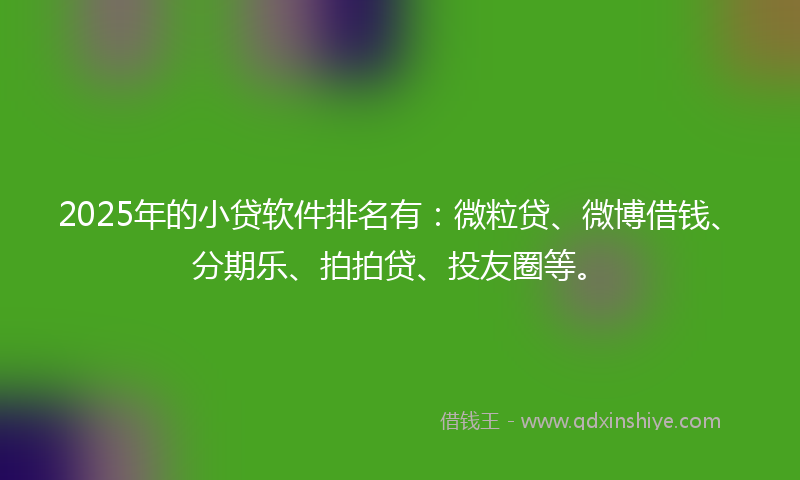 2025年的小贷软件排名有：微粒贷、微博借钱、分期乐、拍拍贷、投友圈等。