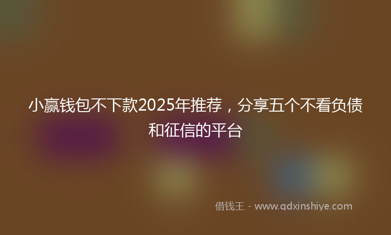 小赢钱包不下款2025年推荐，分享五个不看负债和征信的平台