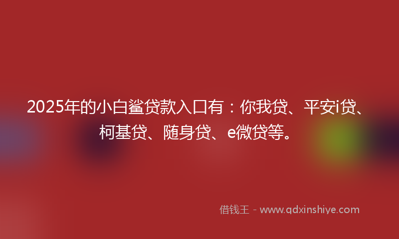 2025年的小白鲨贷款入口有：你我贷、平安i贷、柯基贷、随身贷、e微贷等。
