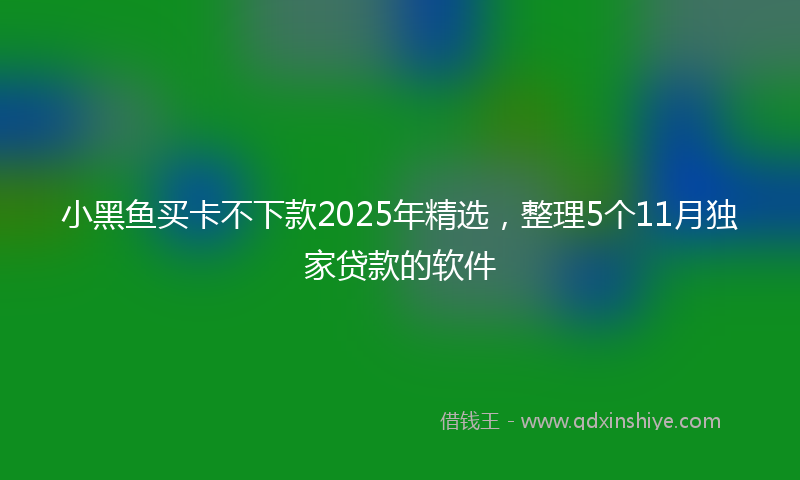 小黑鱼买卡不下款2025年精选，整理5个11月独家贷款的软件