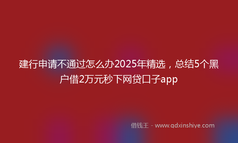 建行申请不通过怎么办2025年精选，总结5个黑户借2万元秒下网贷口子app