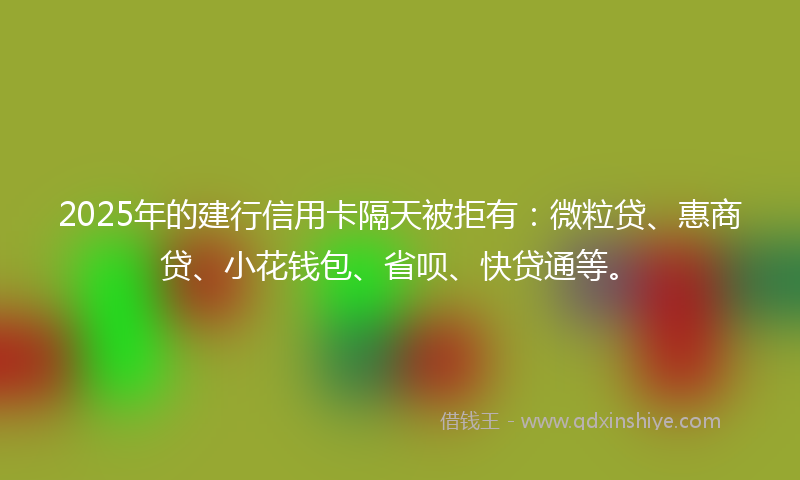 2025年的建行信用卡隔天被拒有：微粒贷、惠商贷、小花钱包、省呗、快贷通等。