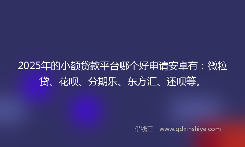 2025年的小额贷款平台哪个好申请安卓有：微粒贷、花呗、分期乐、东方汇、还呗等。