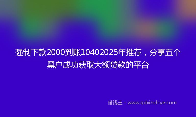强制下款2000到账10402025年推荐，分享五个黑户成功获取大额贷款的平台