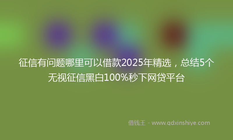 征信有问题哪里可以借款2025年精选，总结5个无视征信黑白100%秒下网贷平台