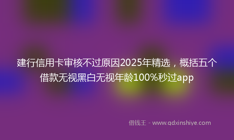 建行信用卡审核不过原因2025年精选，概括五个借款无视黑白无视年龄100%秒过app