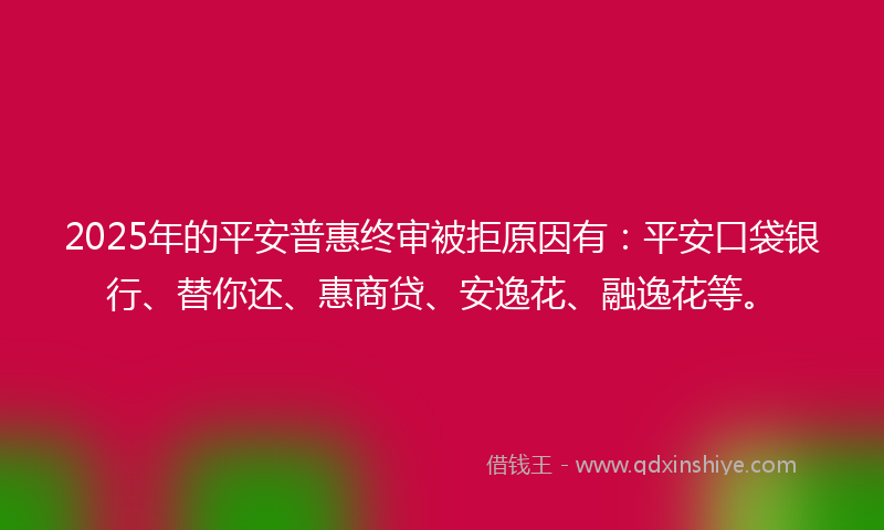 2025年的平安普惠终审被拒原因有：平安口袋银行、替你还、惠商贷、安逸花、融逸花等。
