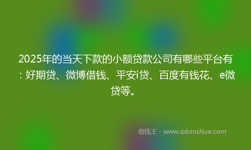 2025年的当天下款的小额贷款公司有哪些平台有：好期贷、微博借钱、平安i贷、百度有钱花、e微贷等。