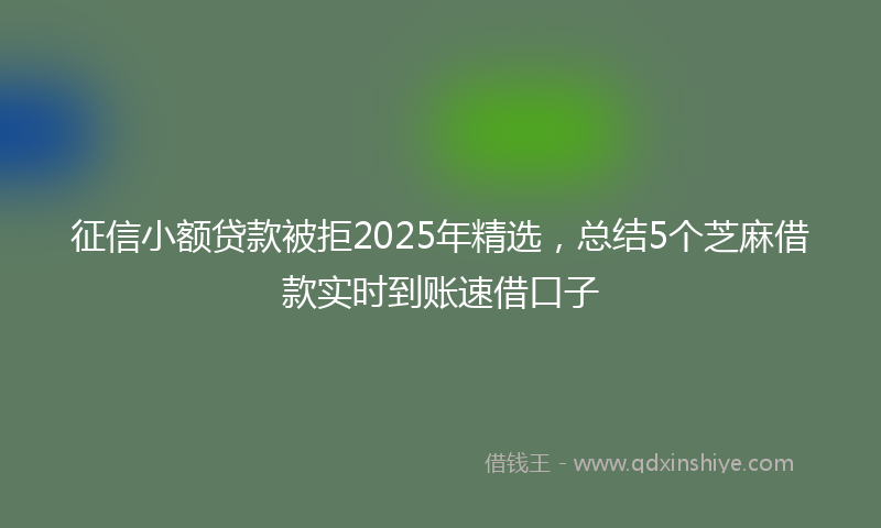 征信小额贷款被拒2025年精选，总结5个芝麻借款实时到账速借口子