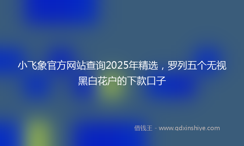 小飞象官方网站查询2025年精选，罗列五个无视黑白花户的下款口子