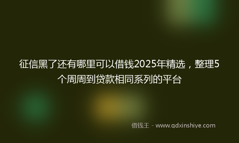征信黑了还有哪里可以借钱2025年精选，整理5个周周到贷款相同系列的平台