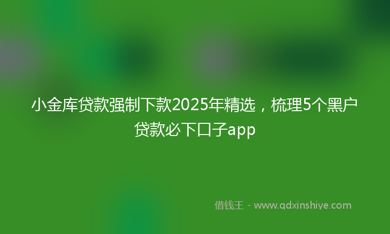 小金库贷款强制下款2025年精选，梳理5个黑户贷款必下口子app
