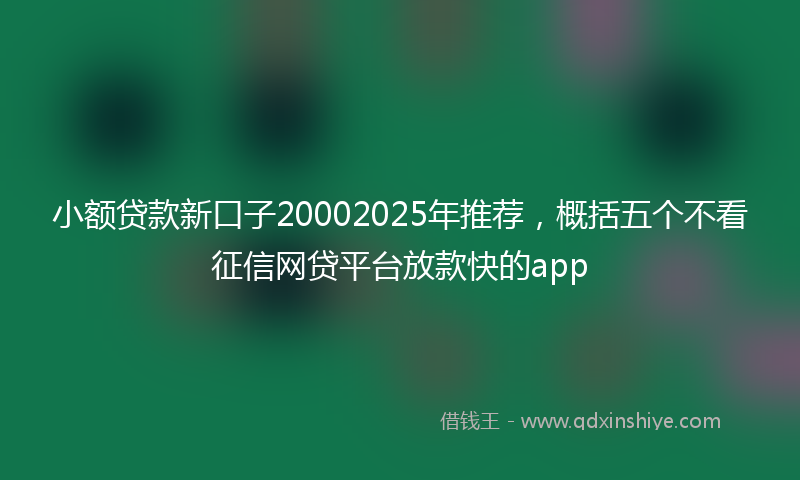 小额贷款新口子20002025年推荐，概括五个不看征信网贷平台放款快的app