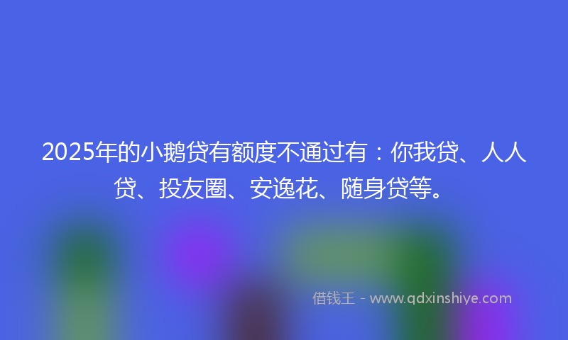 2025年的小鹅贷有额度不通过有：你我贷、人人贷、投友圈、安逸花、随身贷等。