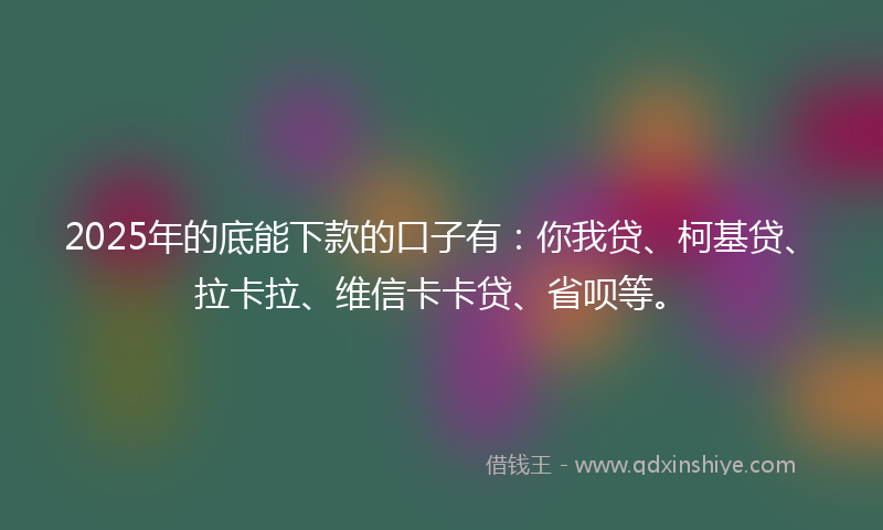 2025年的底能下款的口子有：你我贷、柯基贷、拉卡拉、维信卡卡贷、省呗等。