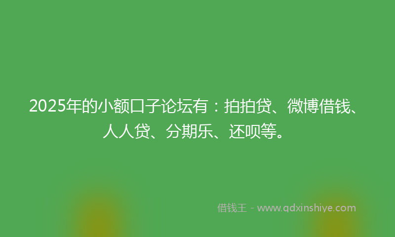 2025年的小额口子论坛有：拍拍贷、微博借钱、人人贷、分期乐、还呗等。