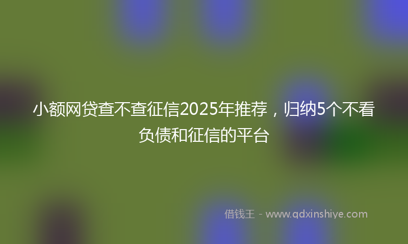 小额网贷查不查征信2025年推荐，归纳5个不看负债和征信的平台