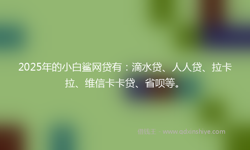 2025年的小白鲨网贷有：滴水贷、人人贷、拉卡拉、维信卡卡贷、省呗等。